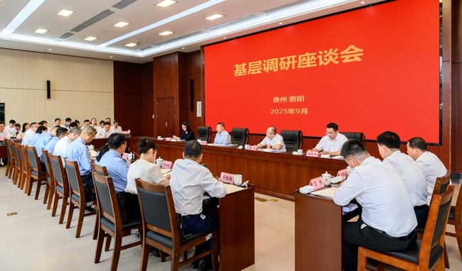 胡静林在重庆、贵州调研税务工作时强调 巩固拓展学习教育成果  持续深入推进“强基工程”