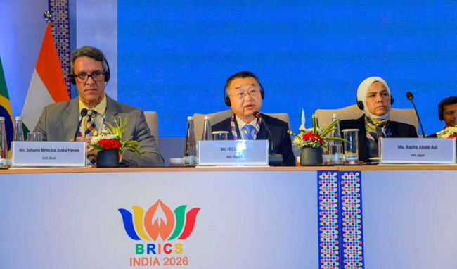 胡静林出席2026年金砖国家税务局长会议