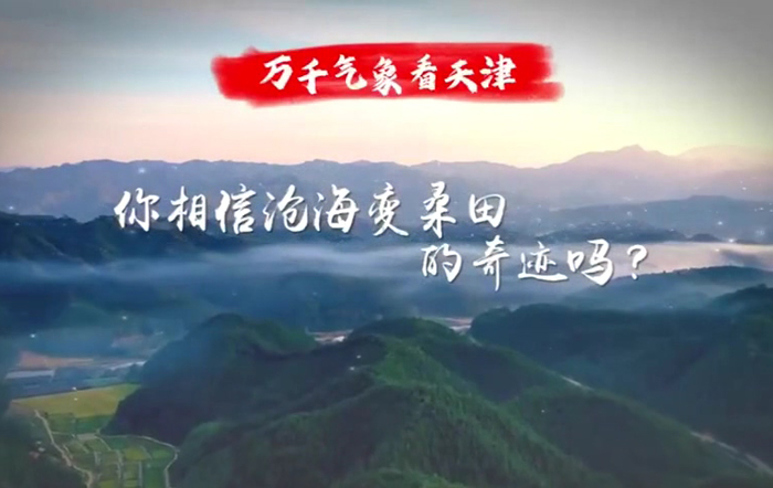 天津：持续发挥税收职能作用 助力更多企业扎根海外 扬帆远航
